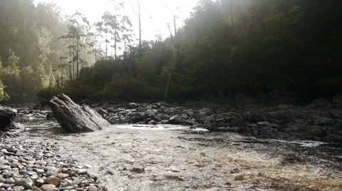 Remote river landscape Tasmania Stock Footage 50090884