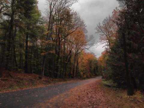 Remote road in The Adirondacks Stock Photos