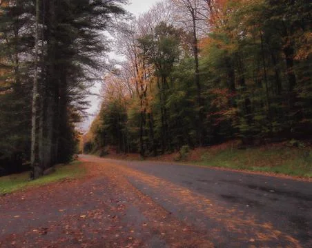 Remote road in The Adirondacks Stock Photos