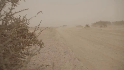 Remote road trough the desert Stock Footage 83601488