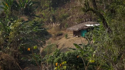 Remote Rural Hut Surrounded by Tropical Forest Video stock 329176941
