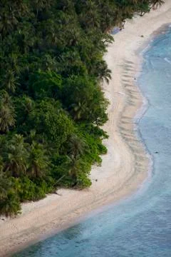 Remote sandy beach jungle Stock Photos