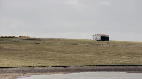 Remote Shed In Open Field Of Goose Green Falkland Islands (Islas Malvinas) - 4K Stock Footage 345679735