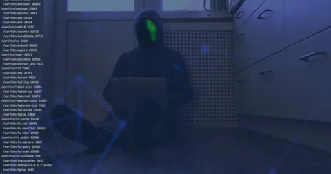 Remote software developer, working diligently on his laptop. Animation of a Stock Footage 259072306