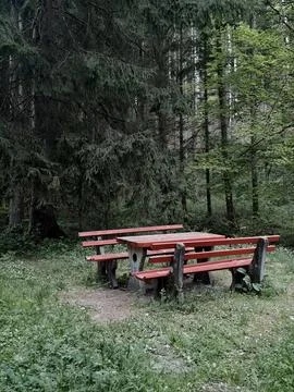 Remote Spot With Red Bench For Small Groups To Relax And Socialize In Forest Stock Photos