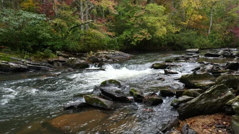 Remote stream in the North Georgia Mountains - Amicalola Creek 動画素材 319477527