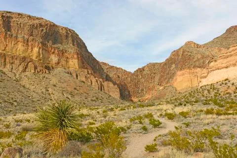 Remote trail into the Desert Stockfoto's