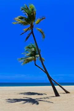 Remote tropical  beach Stock Photos
