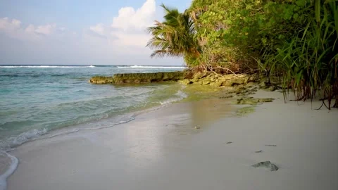 Remote tropical island with thick vegetation an coconut palm trees Video stock 194552016