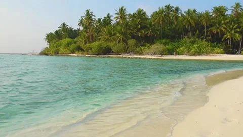 Remote tropical island with thick vegetation an coconut palm trees Stock Footage 194553545