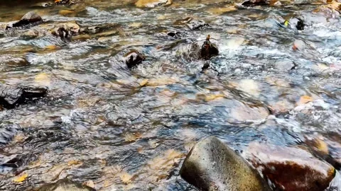 Remote Tropical River Landscape - High Fidelity Nature Sound Stock Footage 327627917