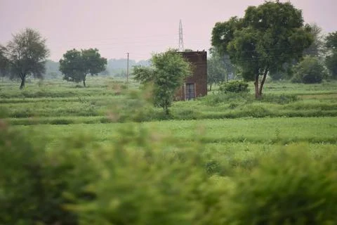 Remote Utility Structure Among Green Fields Stock Photos
