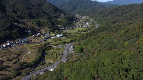 Remote Valley forest Stock Footage 229058432