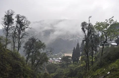 Remote village with pine trees with cloud and mist Stock Photos