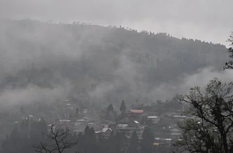 Remote Village With Pine Trees With Cloud And Mist Stock Photos