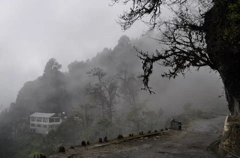 Remote village with pine trees with cloud and mist Stock Photos