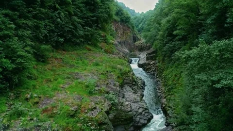 Remote waterfall stream, cinematic river valley, lush forest gorge Stock Footage 311421067