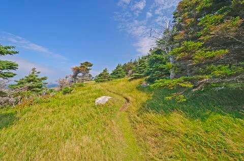 Remote Wind Blown Trail on an Ocean Coast 스톡 사진