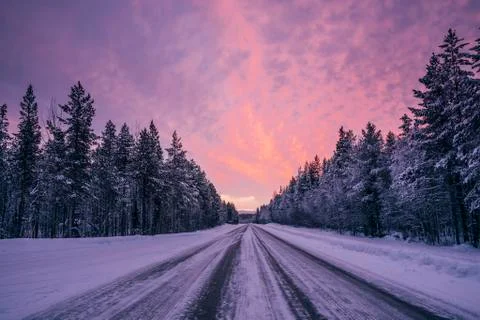 Remote winter road through snow covered forest trees against dramatic purple and Stock Photos
