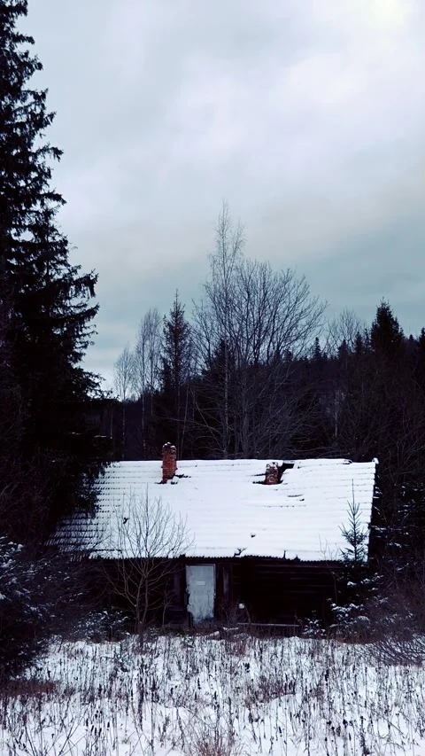 Remote wooden log cabin surrounded by snowy pine forest in winter Video stock 333901814