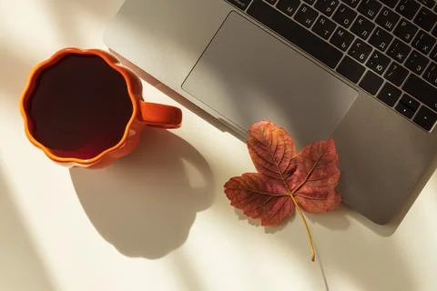 Remote work with coffee and autumn leaf on laptop Stock Photos