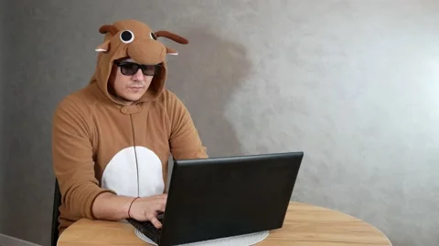 Remote work Stock Footage 151516379