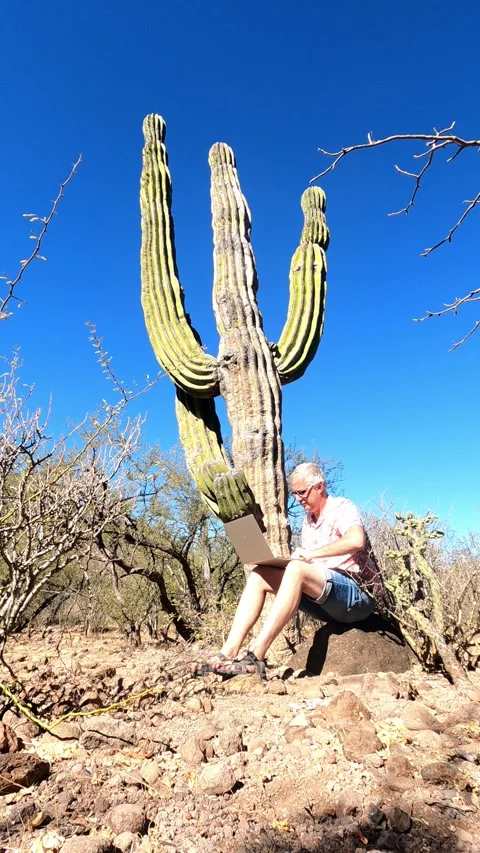 Remote work Stock Footage 280061084