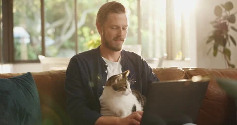 Remote work from home, cat and man on sofa, laptop or problem solving with Stock Footage 310485093