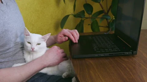 Remote work, home office concept. Stock Footage 147317745