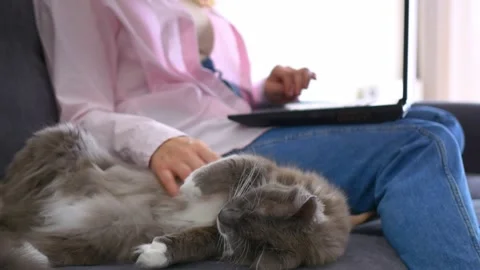 Remote work from home, a woman is typing on a keyboard while sitting on a sofa Stock-Footage 220187976