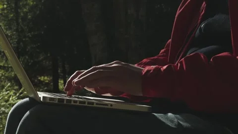 Remote work man typing laptop in forest Stock Footage 318165131