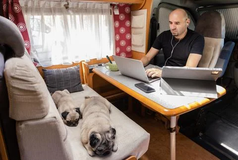 Remote working in a camper van with sleeping pugs Stock Photos