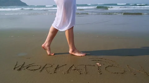 Remote working concept. Stock Footage 237137054