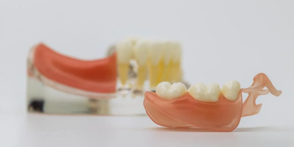 Removable Partial Denture with Artificial Teeth in Selective Focus Фото