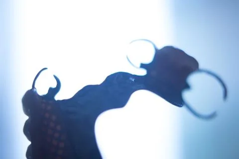 Removable partial dentures Stock-Fotos