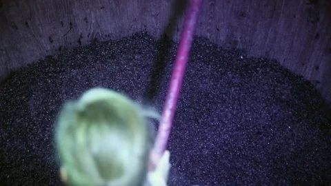 Removal of fermented grapes from a tank Stock Footage 74467121