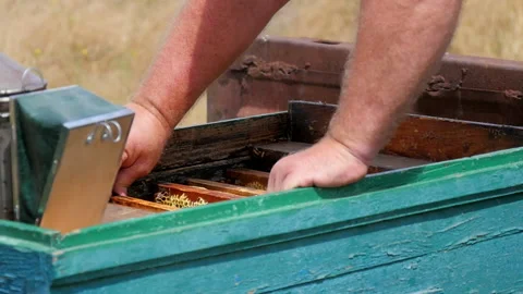 Removal of the Frame with Honeycombs Stock Footage 134943121