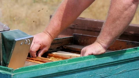 Removal of the Honey Frame Stock Footage 134944038