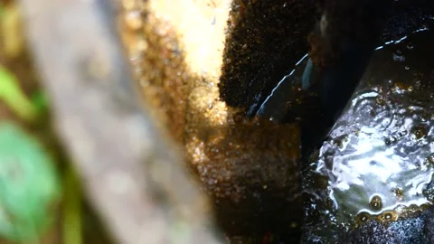 The removal of sewage sludge and cleaning with vacuum pipe in drain Stock Footage 201601716