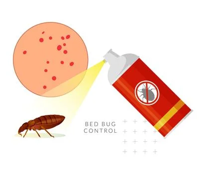 Remove Bed Bugs - Genus Cimex - Stock Illustration Stock Illustration