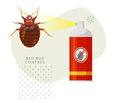 Remove Bed Bugs - Genus Cimex - Stock Illustration Stock Illustration