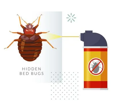 Remove Bed Bugs - Genus Cimex - Stock Illustration Stock Illustration