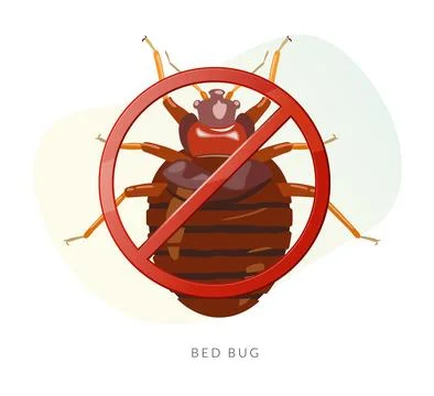 Remove Bed Bugs - Genus Cimex - Stock Illustration Stock Illustration