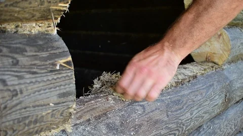 Remove moss from a log in a cut out passage Stock Footage 117473493