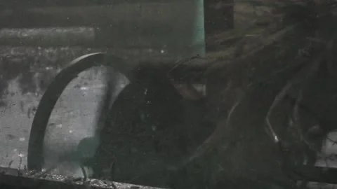 Remove the rice grain Stock Footage 154918145