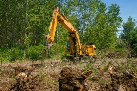 Remove roots with excavator Stock Photos