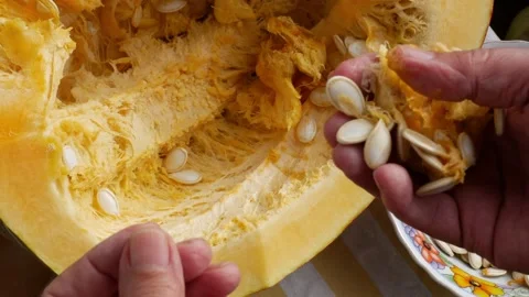 Remove the seeds from a large yellow squash. 库存影片 145477123