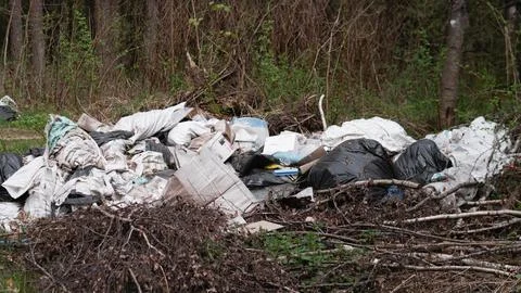 Remove Waste To Protect Environment. Immediate Action Required For Environmental Stock Photos