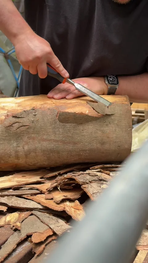 Removing Bark From Log With Hand Tool Stock Footage 342166525