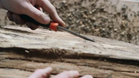 Removing bark from a wooden stump using a chisel. peeling acacia bark Stock Footage 147320435